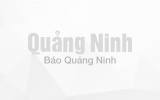 Bản tin ph&aacute;t thanh ng&agrave;y 30 th&aacute;ng 5